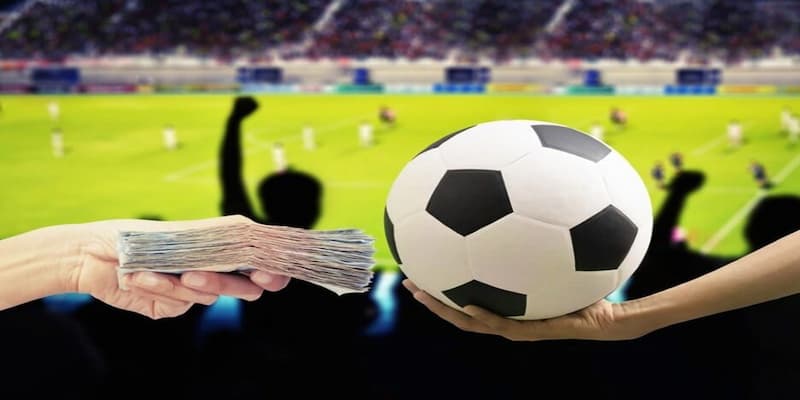 Cách đặt cược bóng đá online an toàn và hiệu quả online cho tân binh