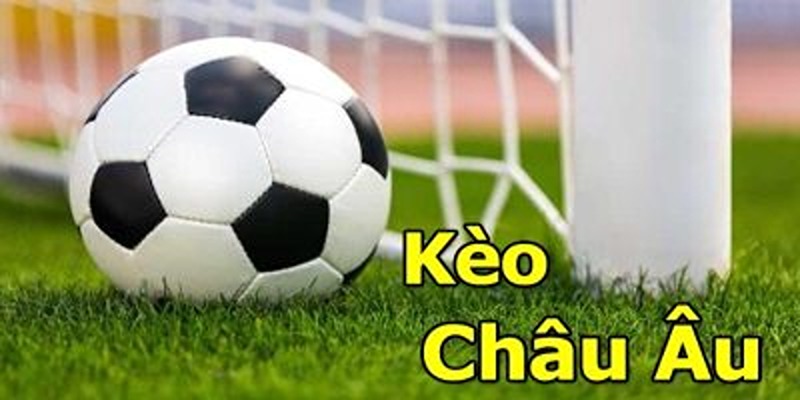 Hướng Dẫn Cách Chơi Kèo Châu Âu Chi Tiết Cho Người Mới Bắt Đầu