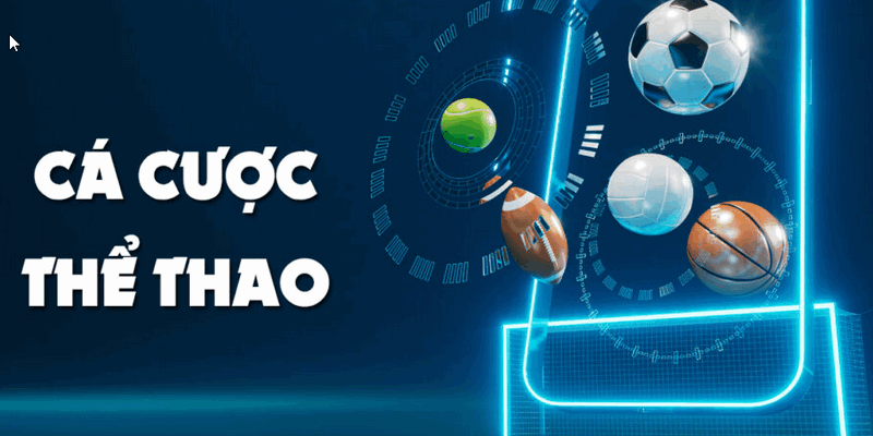 So sánh các trang cá cược: Đâu là lựa chọn tốt nhất?